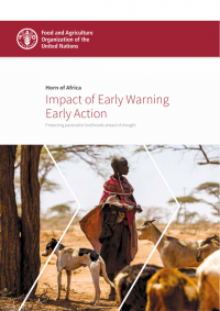 Horn of Africa: impact of early warning early action - protecting pastoralist livelihoods ahead of drought